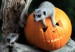 Animals+Get+Spirit+Halloween+Bristol+Zoo+Gardens+0NcoN1dyqjxl